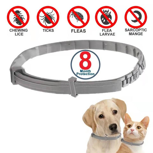 Antiparasitic Pet Collar – Long-Lasting Flea &amp; Tick Protection