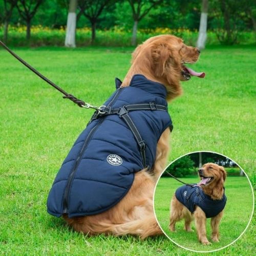 Waterproof Dog Harness Jacket  - Warm, Dry & Ready for Any Weather
